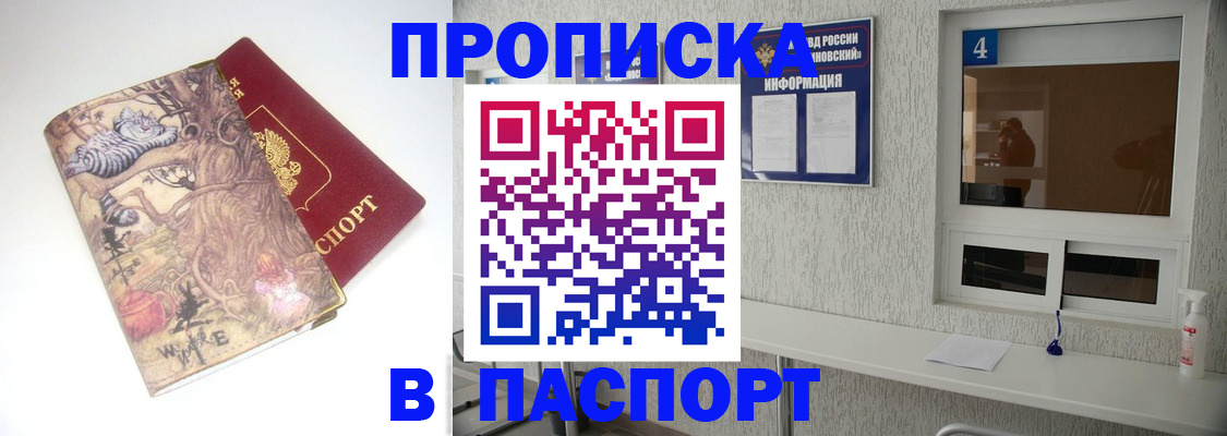 найти адрес прописки в Бабаево